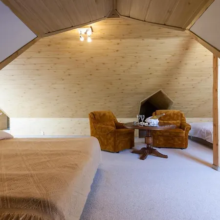 Pod Lwem Apartment