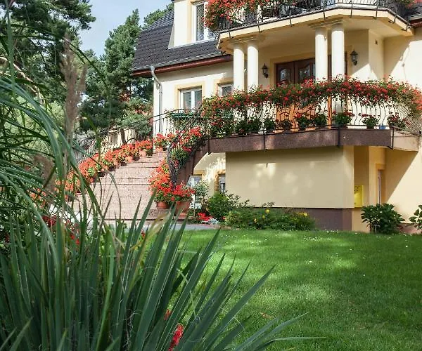 Pod Lwem Apartment *