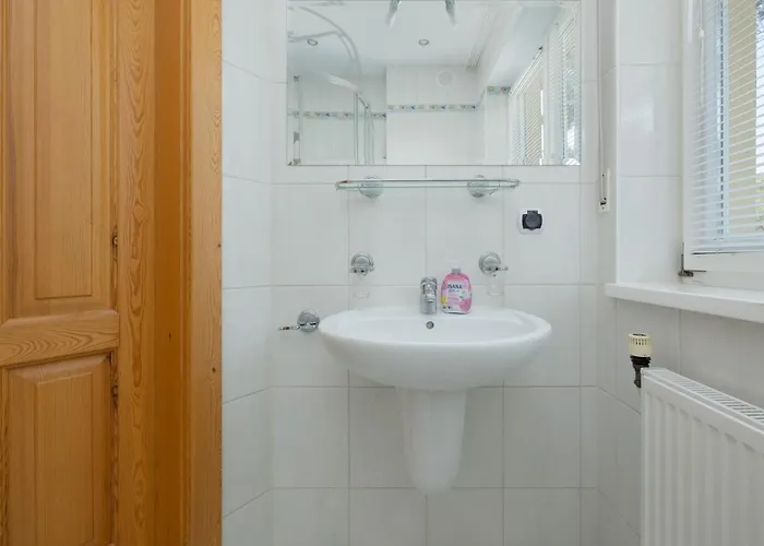 Pod Lwem Apartment *